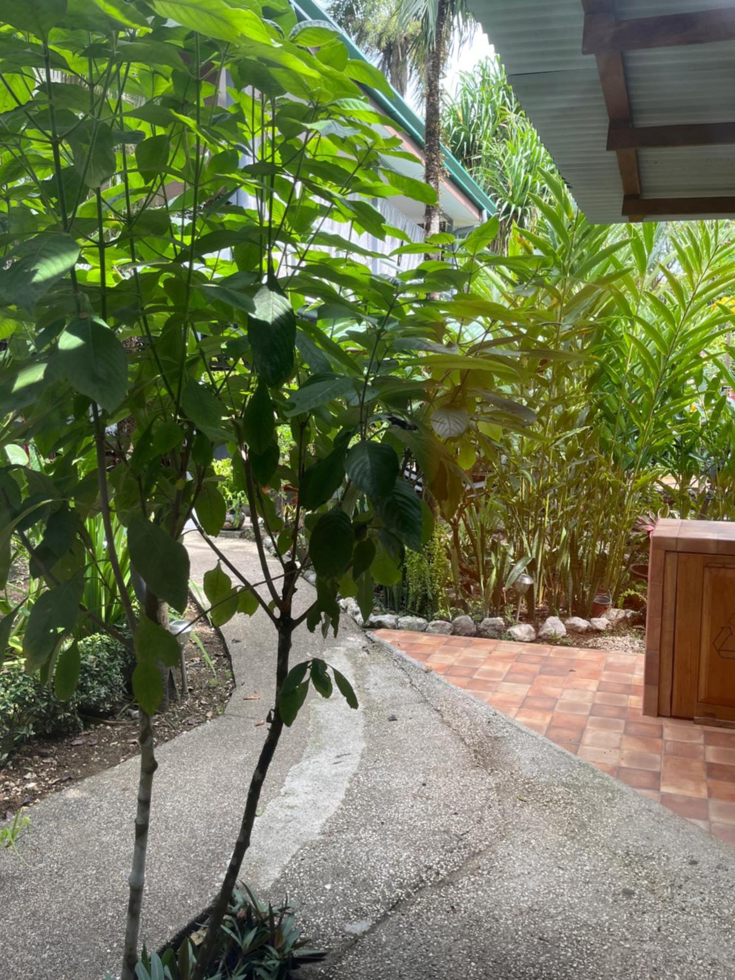 Hotel Entre Dos Aguas Sámara Exterior foto